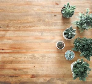 Impatient Gardening