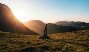 Garden Media Group 2021 Trends Report Theme: "The Great Reset"