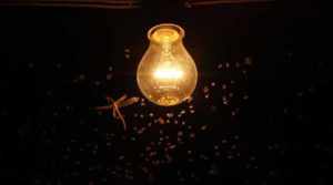 Turn Off the Lights