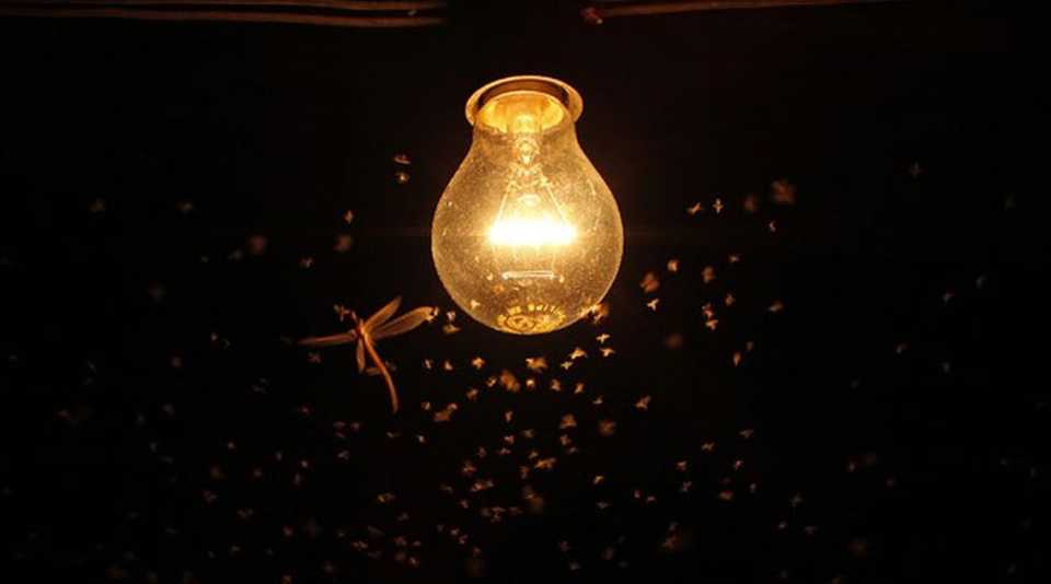 Turn Off the Lights