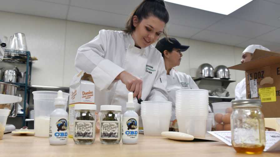 Holyoke Culinary Cannabis Cookies