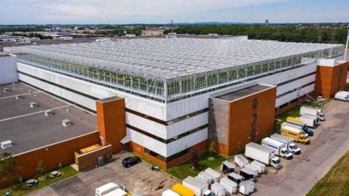Look up! It’s the World’s Biggest Rooftop Greenhouse