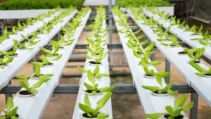 How a New Grant Will Help Build Next Generation of Food Experts
