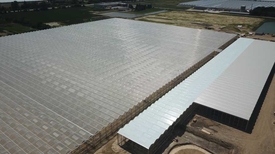 Red Sun Farms