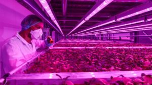 Hort Americas Expands Greenhouse Supply Offerings Through New Partnership