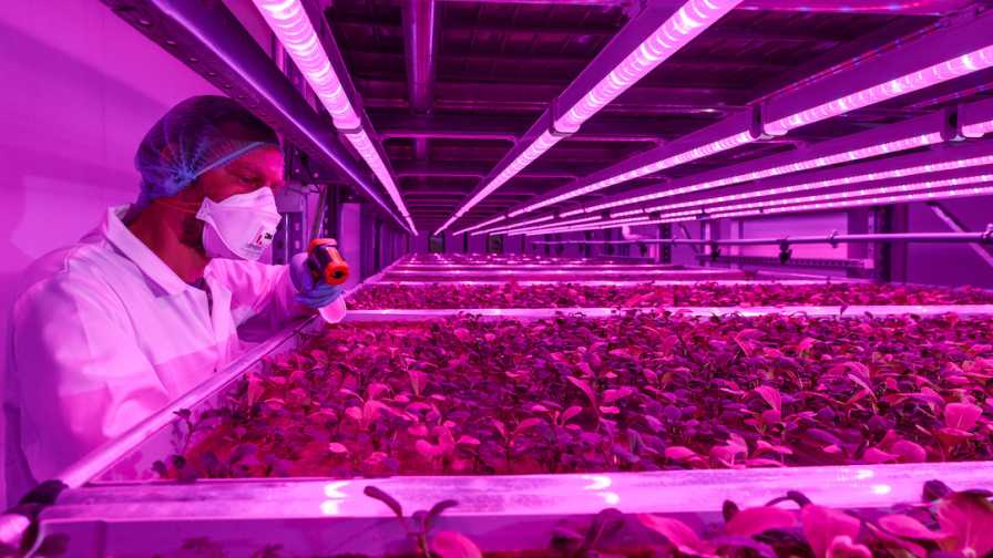Vertical-Farming-GE Current