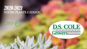 D.S. Cole Growers Announces New Plant Varieties for 2021