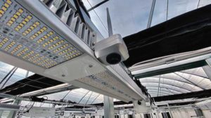 Technology of the Year: A New Vision for the Future of Greenhouse Production