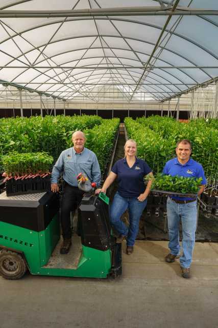 TreeSource Team October 2020