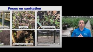 Expert Advice on Managing Weed Control Costs and Hydroponic Plant Health