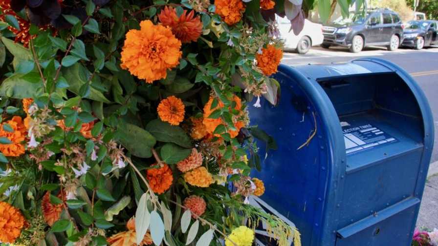 United by Blooms Mailbox Decorations