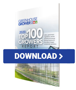 Top 100 Download