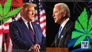 How the Election Might Affect Cannabis Banking Regulations