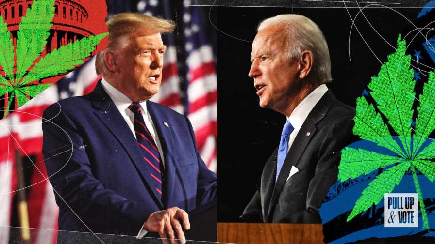 trump-biden-cannabis-lead-image