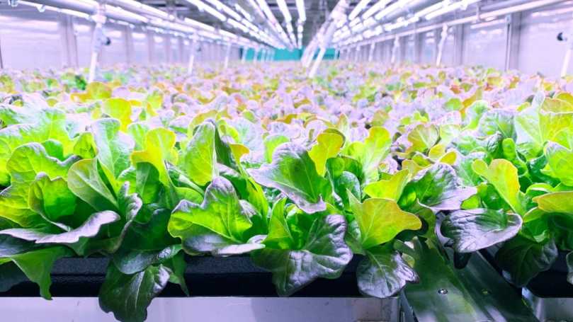 80 Acres Farms