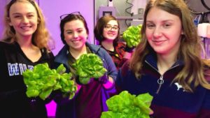 How a Leading Vegetable Grower is Helping Kids Grow Their Own Food