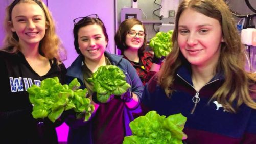 How a Leading Vegetable Grower is Helping Kids Grow Their Own Food