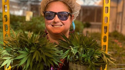 Ways ForwardGro Builds Strength From Adversity in Cannabis Market