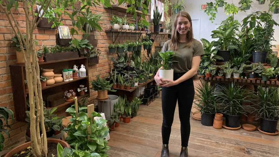 Plant leasing at Leaf and Quiet