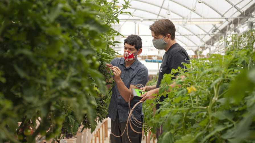 University of New Mexico Plant Sensor Technology