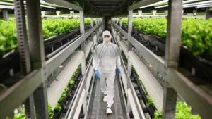 Heliospectra and University of Tokyo Partnership to Boost Indoor Tomato Production