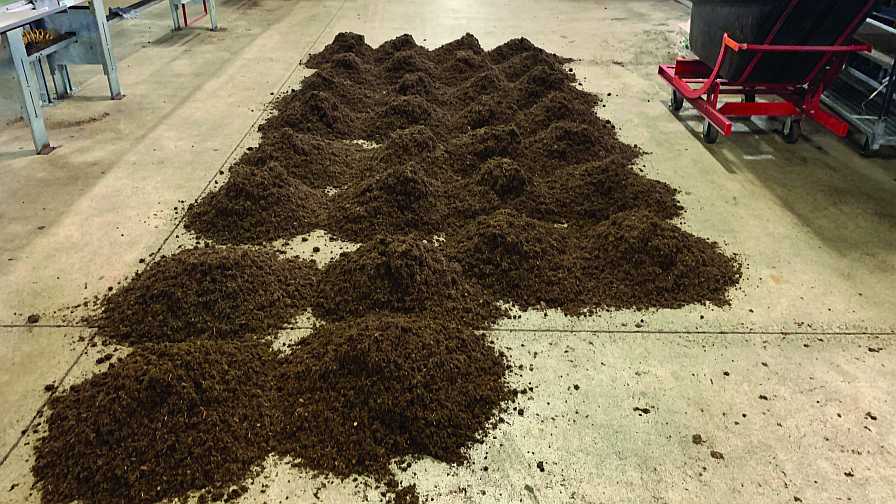Substrate measured out