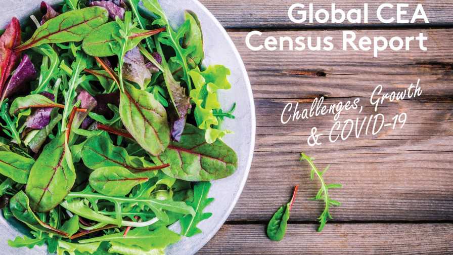 Autogrow CEA Census Report 2020