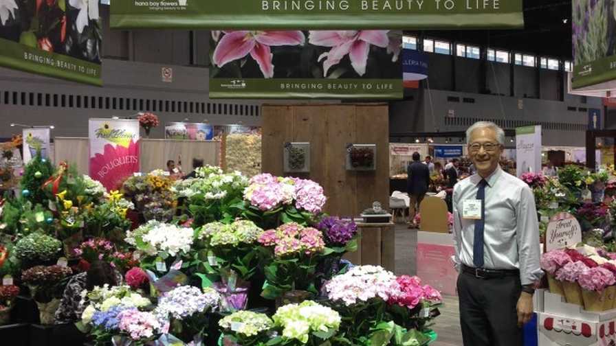 Bay City Flower Hydrangeas Web