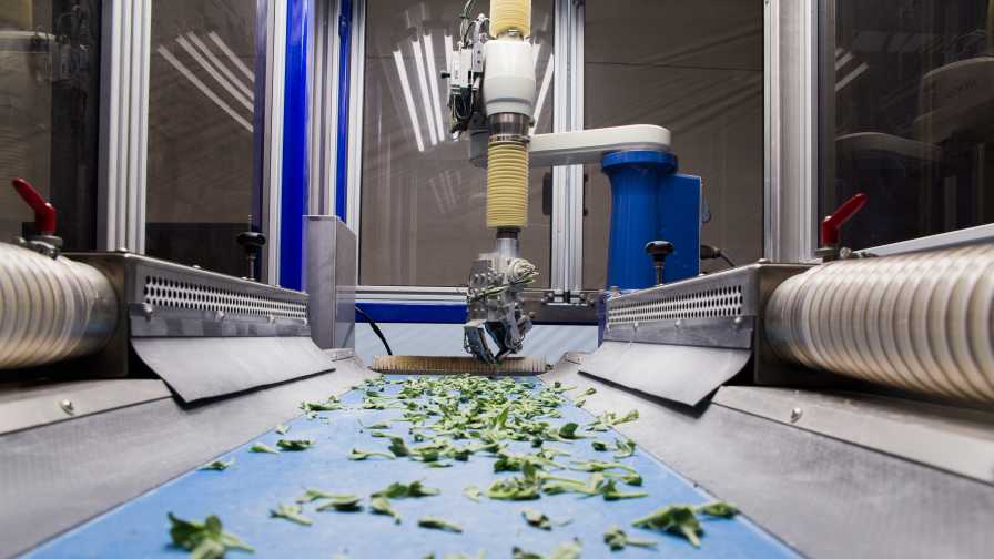 Cover Story: Four Trends Driving Greenhouse Technology and Automation