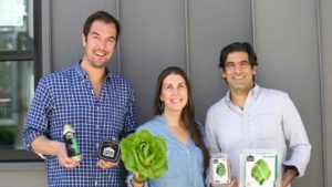 Operation of the Year Gotham Greens Farms With the Future in Mind