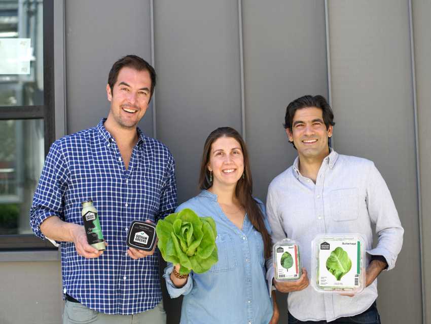 Gotham Greens Partners_Outdoor_Credit Gotham Greens (2) December