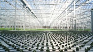 Get the Details on USDA’s New Urban Agriculture Advisory Committee