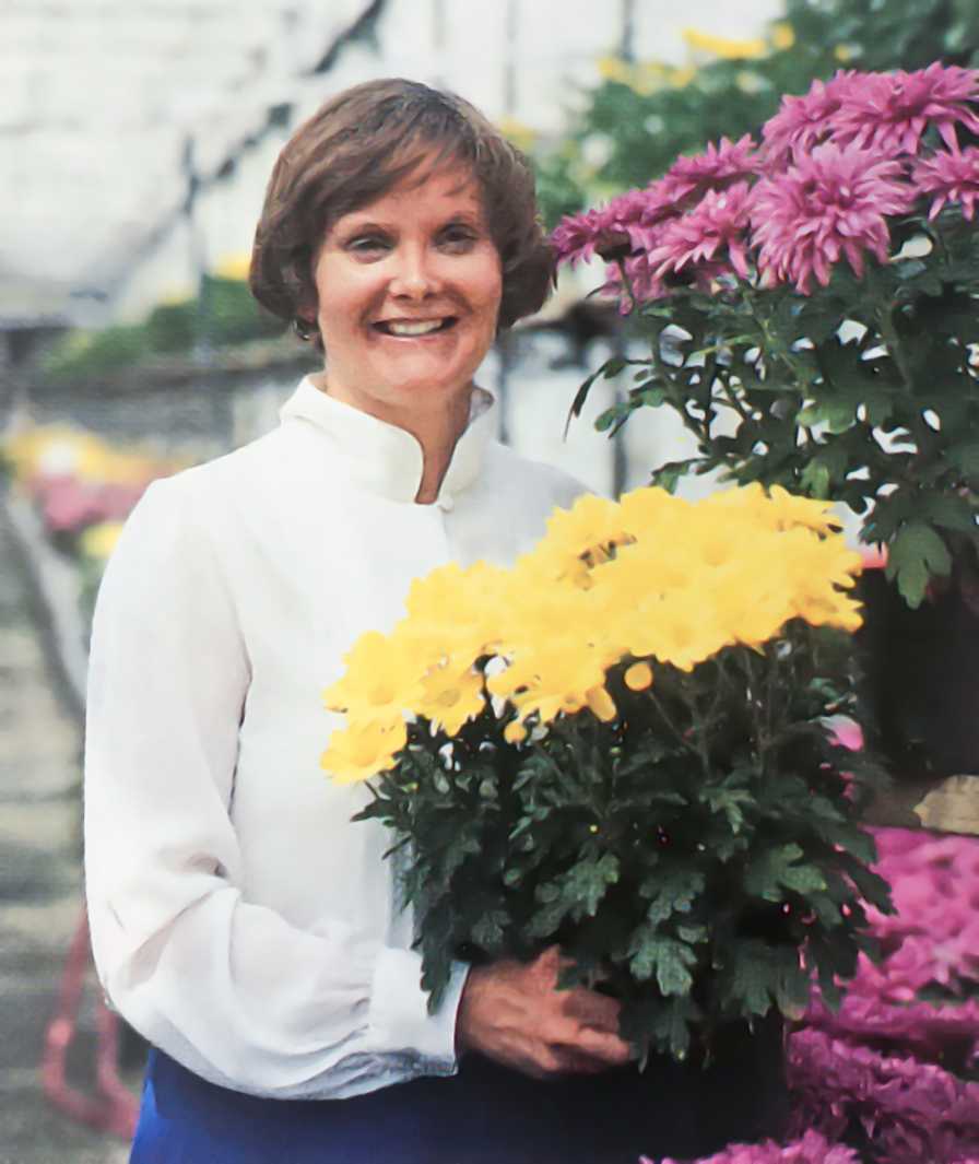Jane Lieberth Web