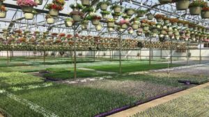 Tools, Tech, and Trends Shaping the Future of the Horticulture Supply Chain