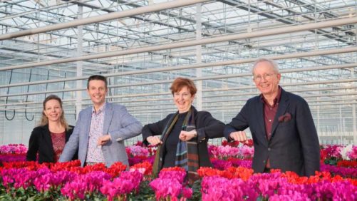Beekenkamp, Schoneveld Partner on Plant Breeding and Research