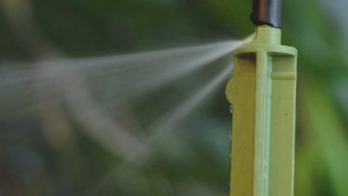 Ways To Irrigate Container-Grown Cannabis