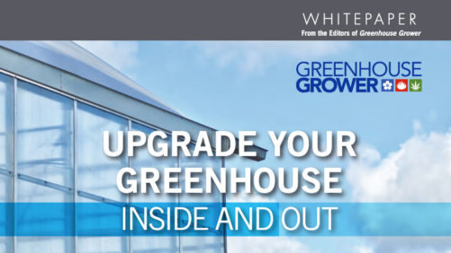 A Guide To Upgrading Your Greenhouse Inside and Out