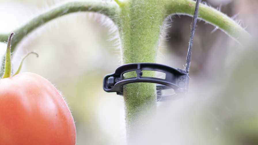ARaymond Agriculture