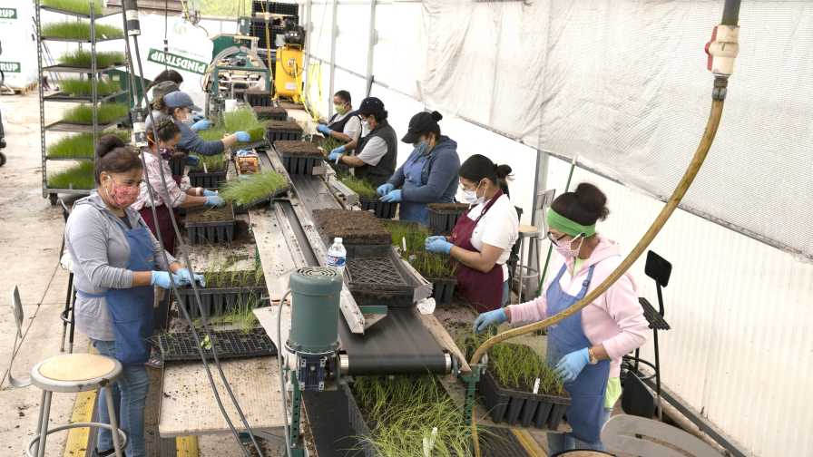 North Creek Nurseries Production Line