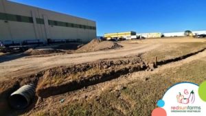 Red Sun Farms Plans for More Expansion in 2021