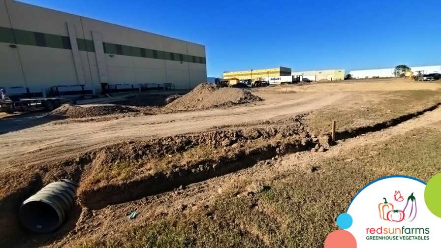 Red Sun Farms 2021 Expansion