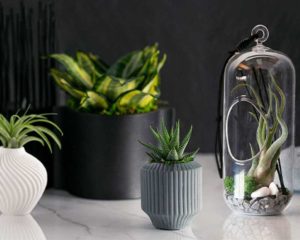 Minimalist Collection (LiveTrends Design Group)