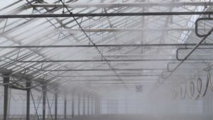 Tech Upgrades Help Growers Manage Water and Humidity in the Greenhouse