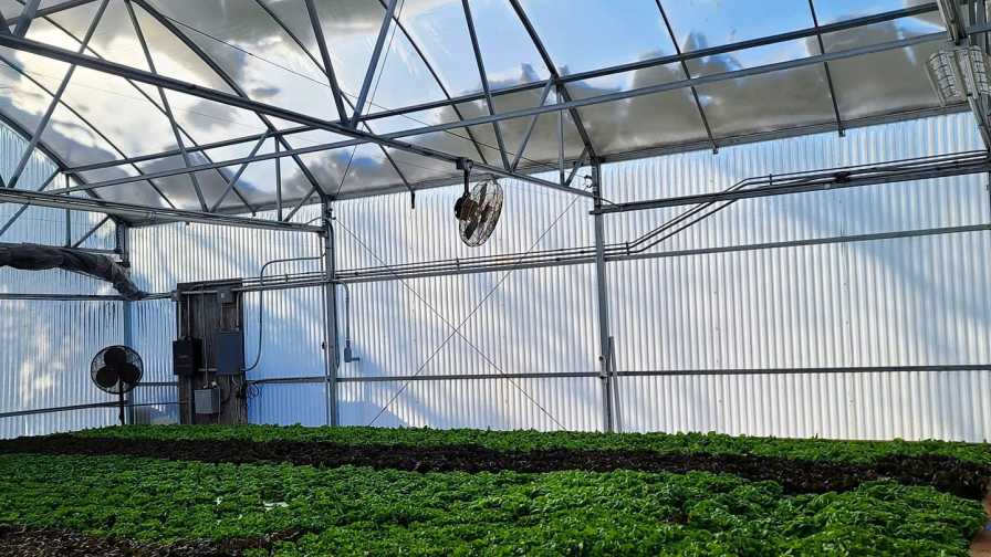 Profound Microfarms Weather Photo by Jeff Bednar Texas