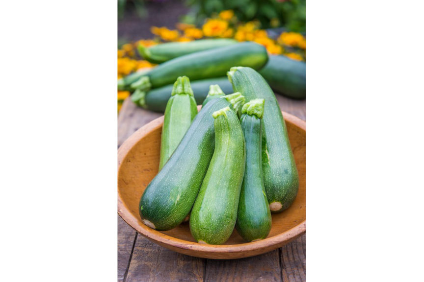 Summer Squash (Meatless Monday Garden)