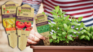 Edibles are a hot trend. Check out the latest design of Tasteful Harvest Tags.