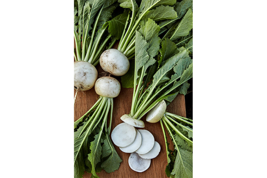 Turnips (Meatless Monday Garden)