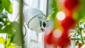 3rd Edition of Autonomous Greenhouse Challenge Coming Soon