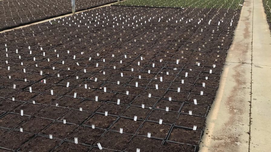 Bell Nursery Water Management Featured