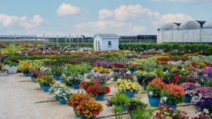 Costa Farms Season Premiere Offers a Look Ahead at Hot Plants for 2022